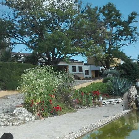 埃斯库埃拉坎波住宿加早餐旅馆 Setenil De Las Bodegas 外观 照片