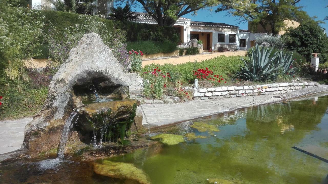 埃斯库埃拉坎波住宿加早餐旅馆 Setenil De Las Bodegas 外观 照片